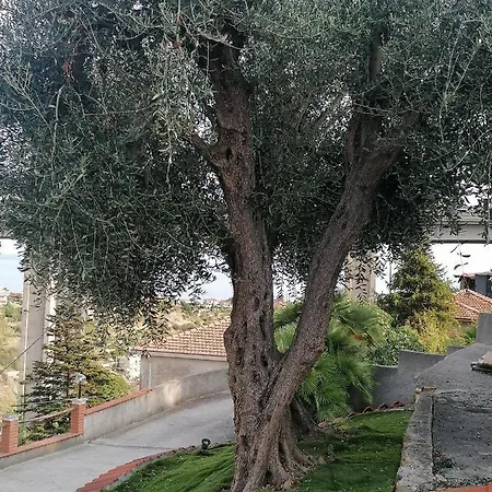 La Casa Di Trilly בית הארחה