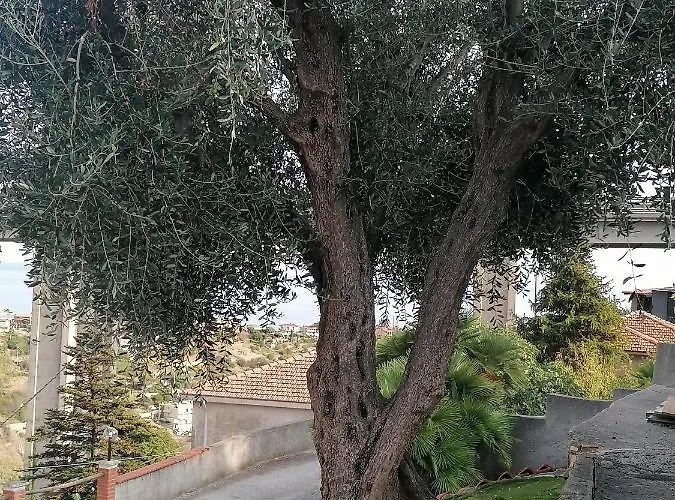 La Casa Di Trilly 招待所